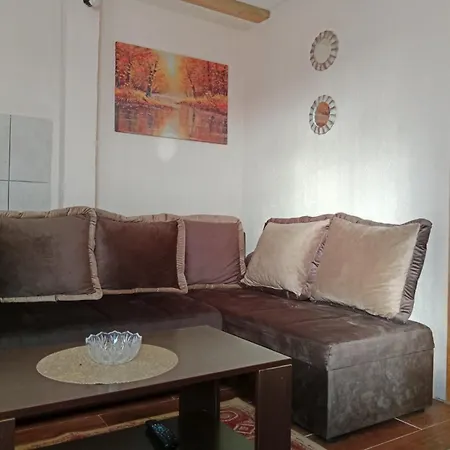 Apartmani Djole I Nika Жабляк Номер фото