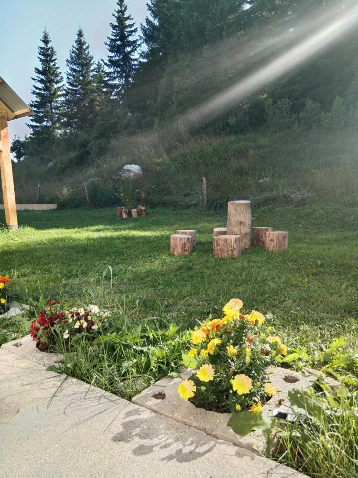 Djole I Nika Апартаменти *